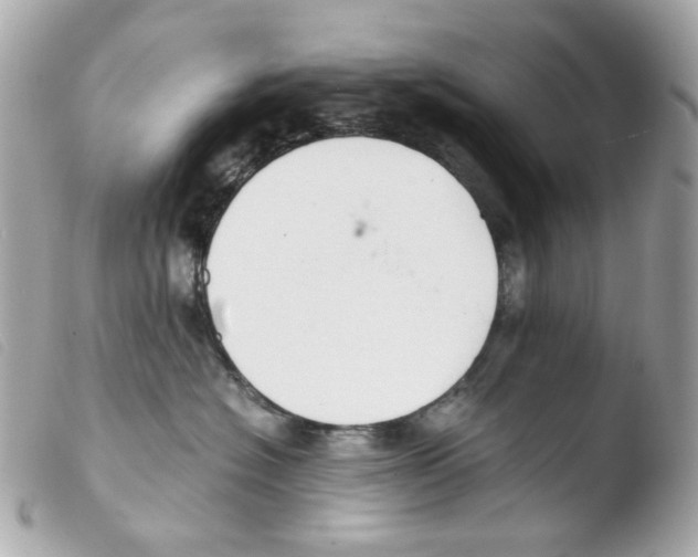 X0000103480574200810101002