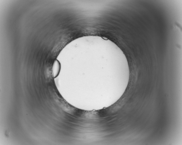 X0000103480576200810101002