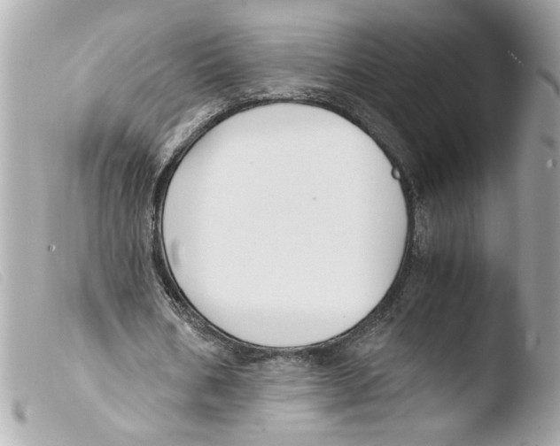 X0000103480578200810101001