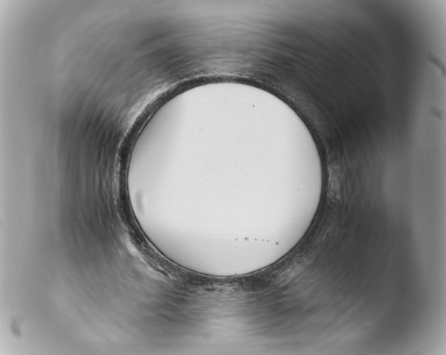 X0000103480580200810101001