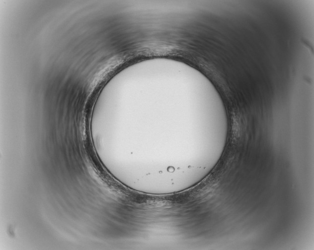 X0000103480582200810101001
