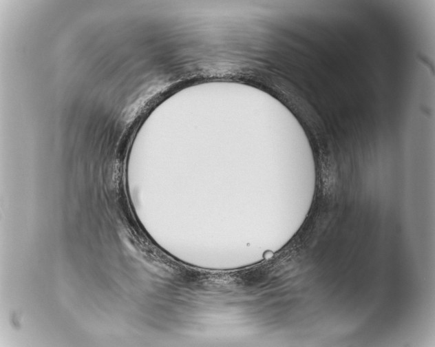 X0000103480583200810101001