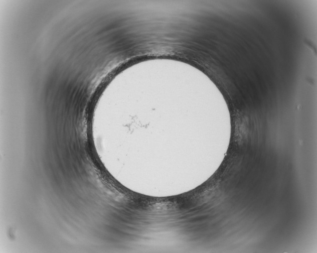 X0000103480584200810101001