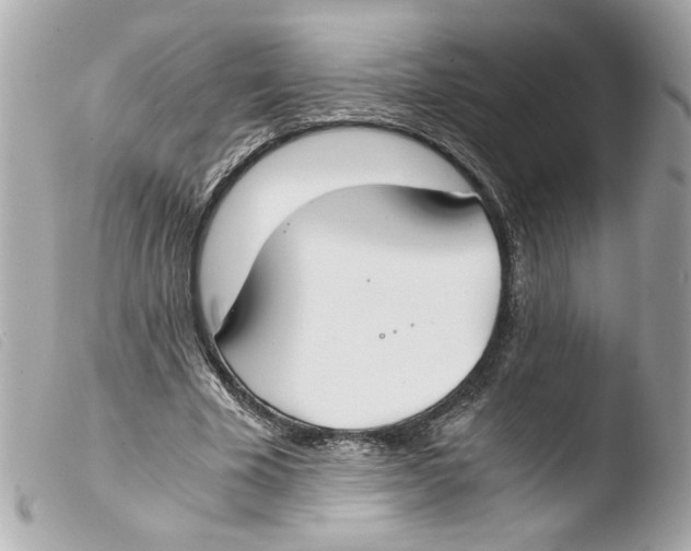 X0000103480585200810101001