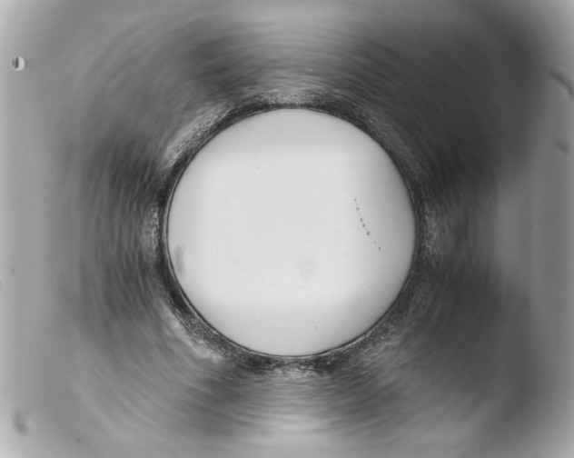 X0000103480586200810101001