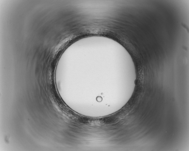 X0000103480587200810101001