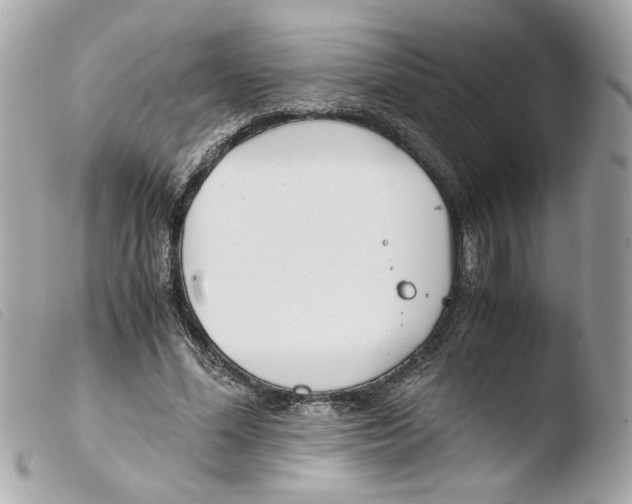 X0000103480588200810101001