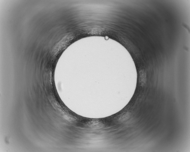 X0000103480589200810101001