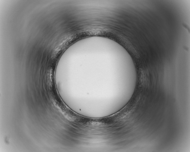 X0000103480590200810101001