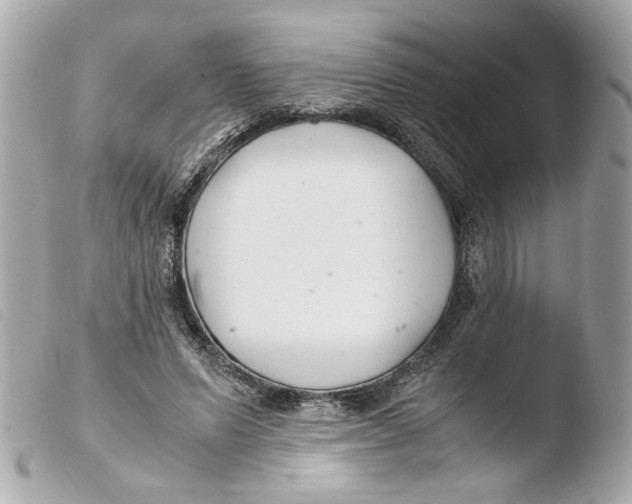 X0000103480591200810101001