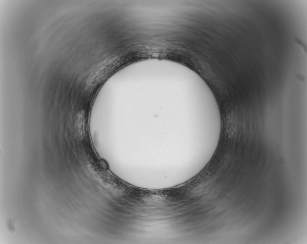 X0000103480594200810101001