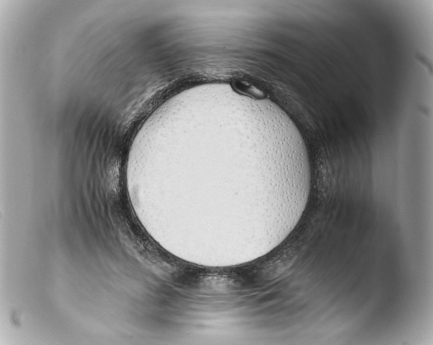 X0000103480596200810101001
