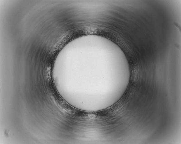 X0000103480598200810101001