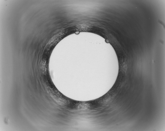 X0000103480599200810101001