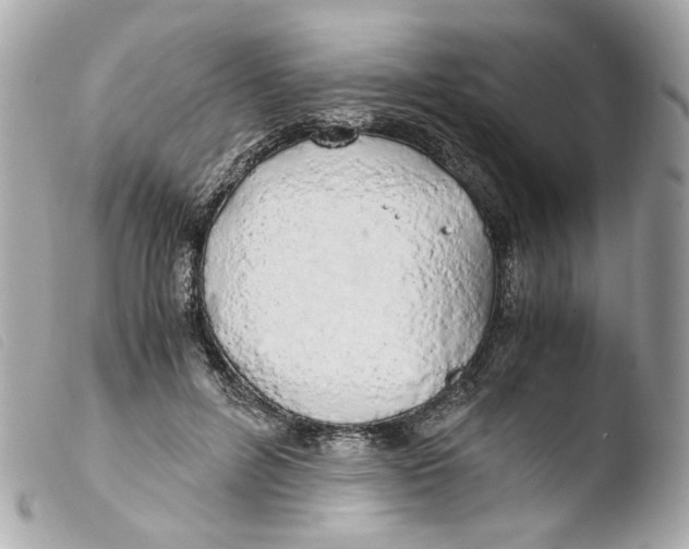 X0000103480600200810101001
