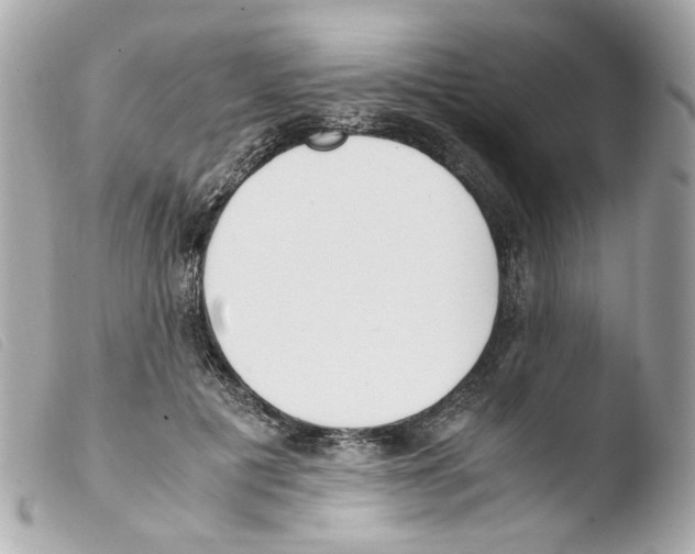 X0000103480601200810101001