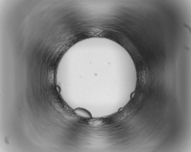 X0000103480602200810101001