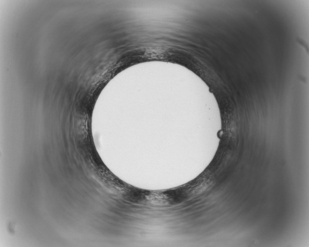 X0000103480603200810101001