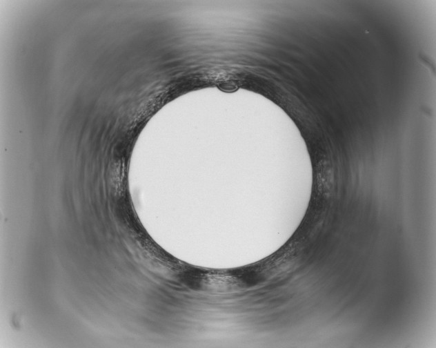 X0000103480605200810101001