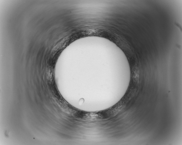 X0000103480607200810101001