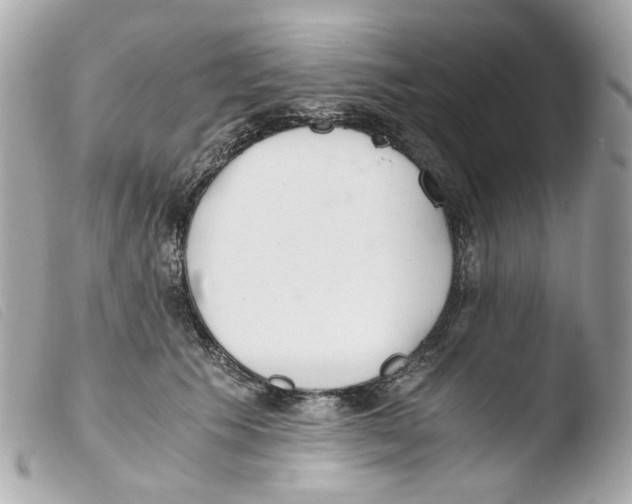 X0000103480609200810101001