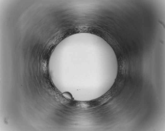 X0000103480610200810101001