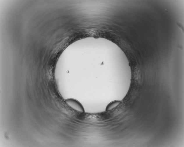 X0000103480611200810101001