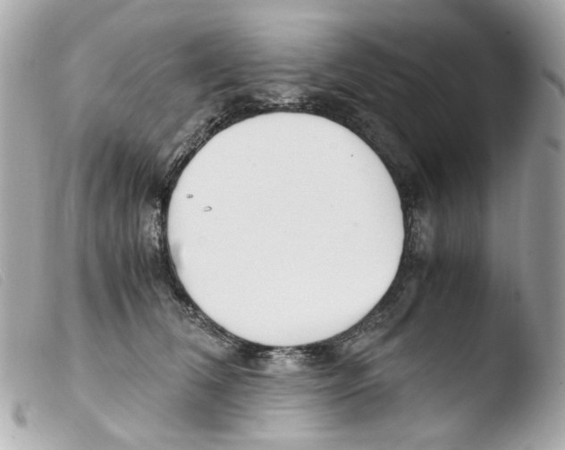 X0000103480612200810101001