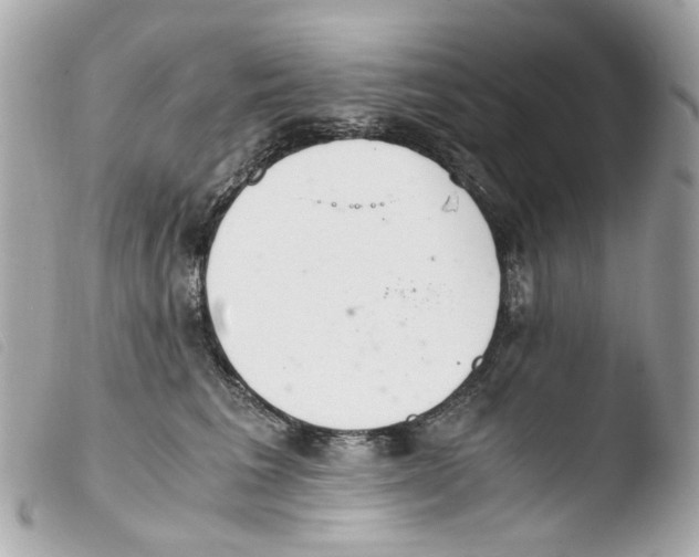 X0000103480613200810101001