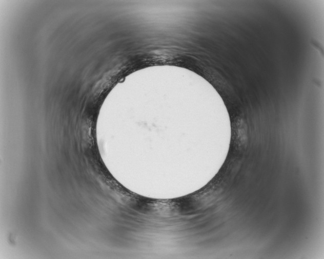 X0000103480615200810101001