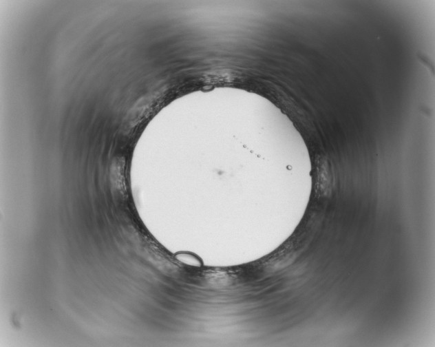 X0000103480616200810101001