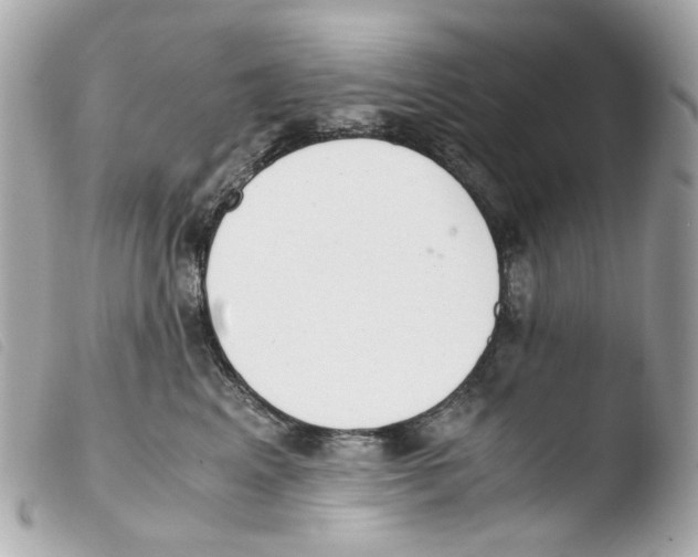 X0000103480617200810101001