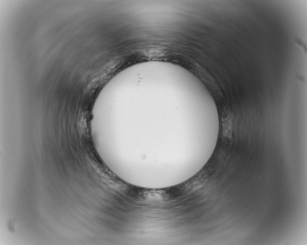 X0000103480618200810101001