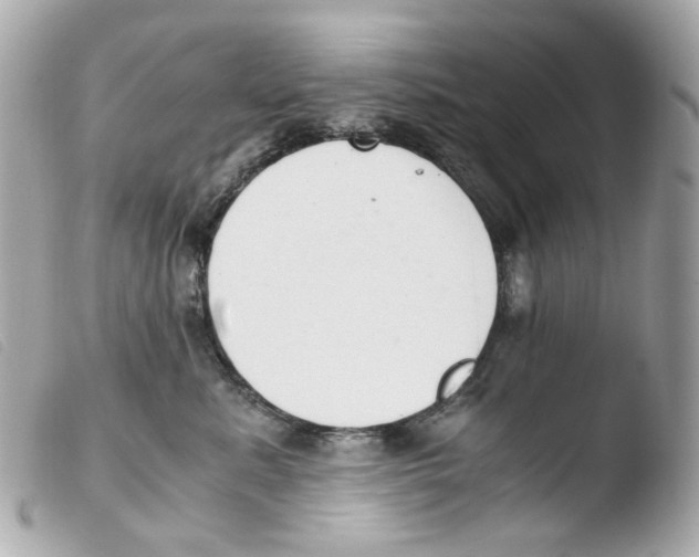 X0000103480619200810101001