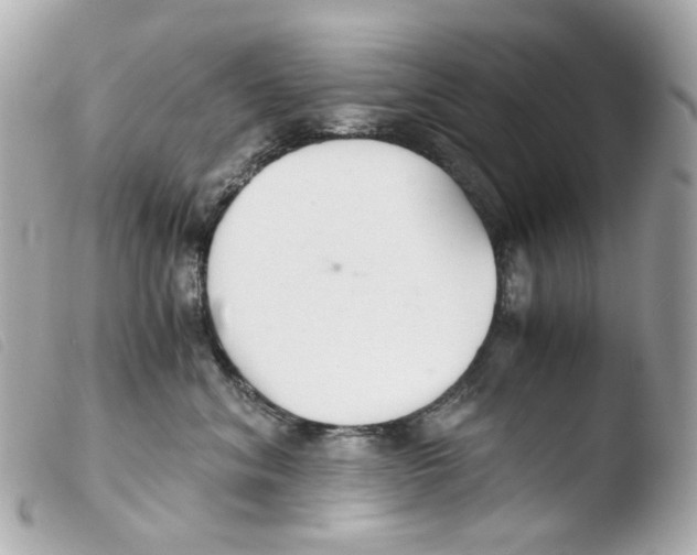 X0000103480620200810101001