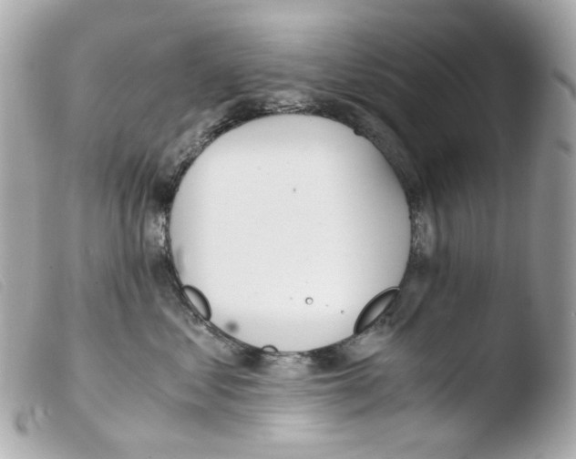 X0000103480621200810101001