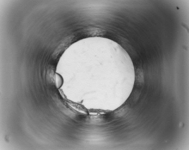 X0000103480622200810101001