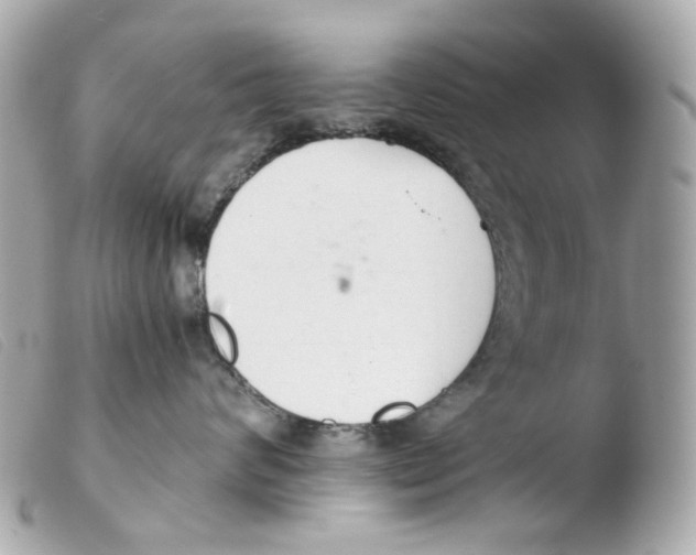X0000103480624200810101001
