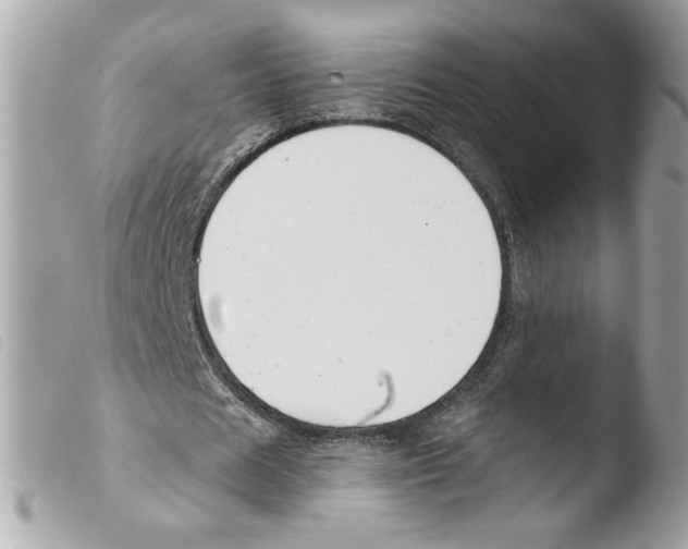 X0000103480625200810101000