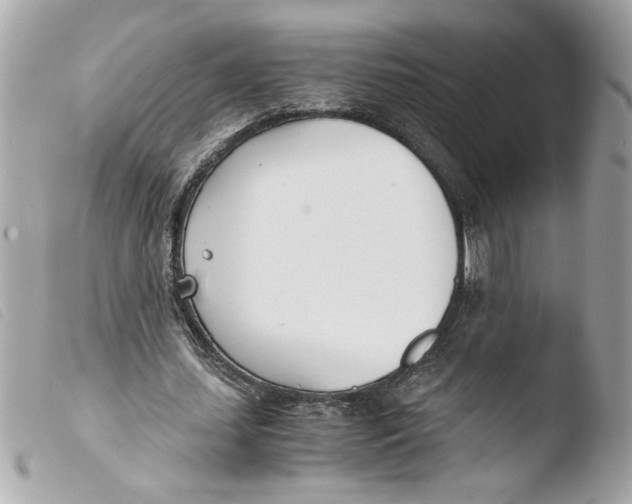X0000103480627200810101000
