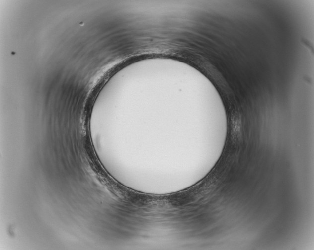 X0000103480628200810101000