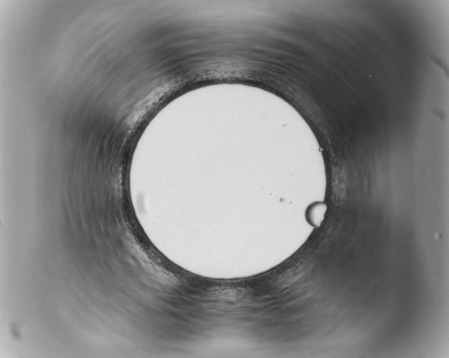 X0000103480629200810101000