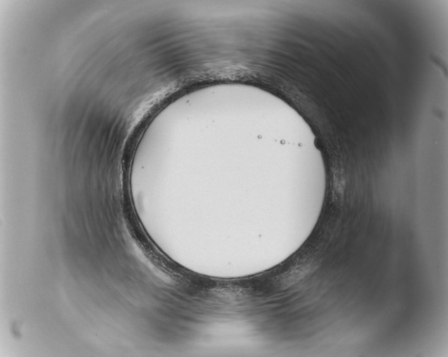 X0000103480630200810101000
