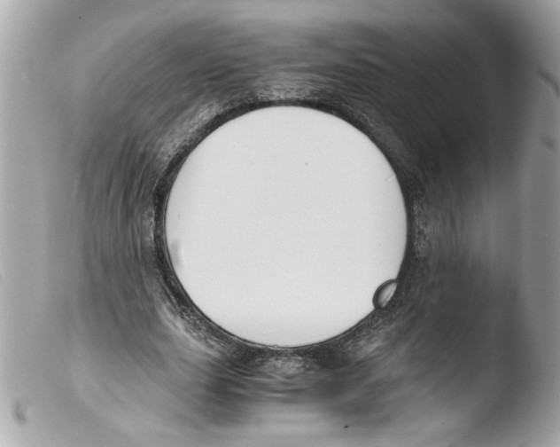 X0000103480631200810101000