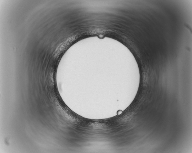 X0000103480633200810101000