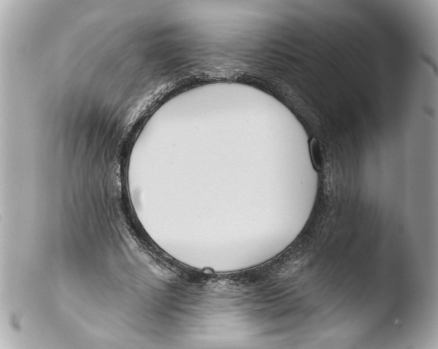 X0000103480634200810101000