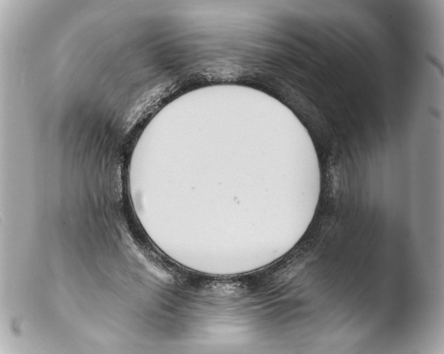 X0000103480638200810101000
