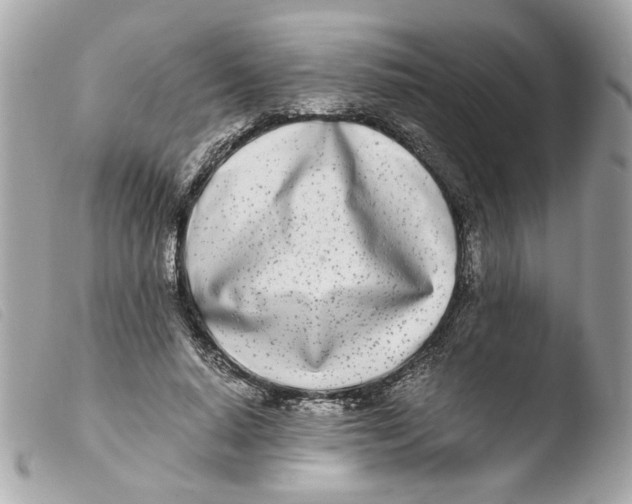 X0000103480640200810101000