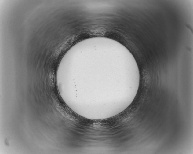 X0000103480641200810101000