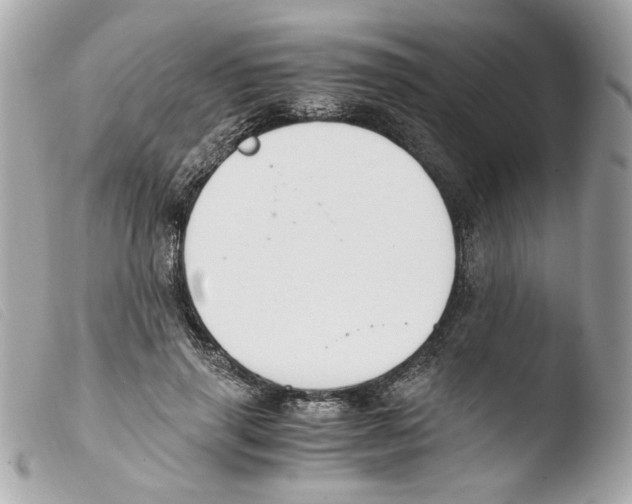 X0000103480645200810101000